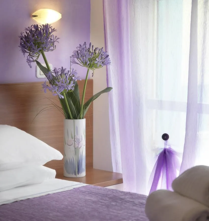 Hotel Albicocco Riccione